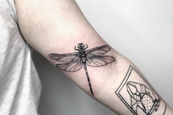 Dragonfly tattoo