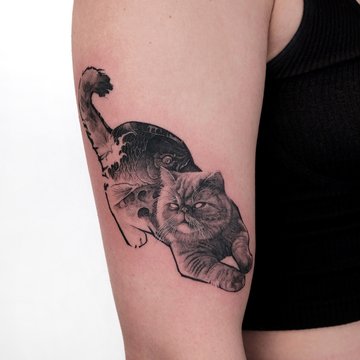Cat tattoo