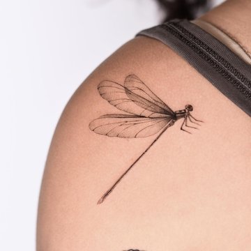 Dragonfly tattoo