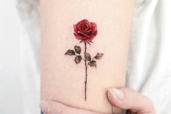 Rose Tattoo