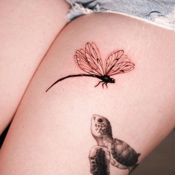 Dragonfly tattoo