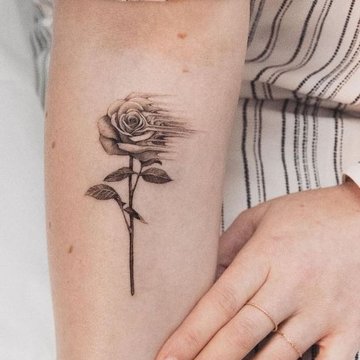Rose Tattoo