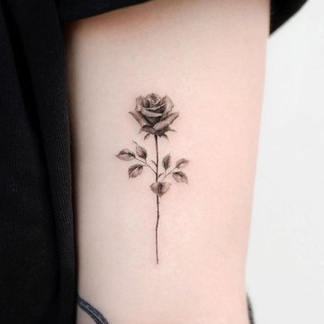 Rose Tattoo