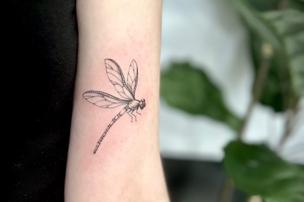 Dragonfly tattoo