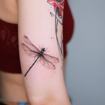 Dragonfly tattoo