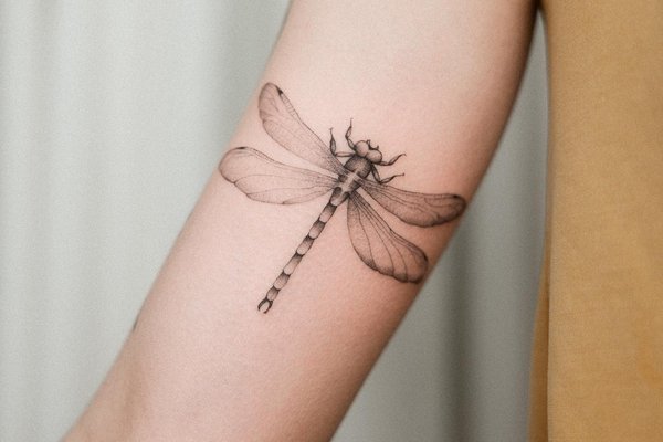 Dragonfly tattoo
