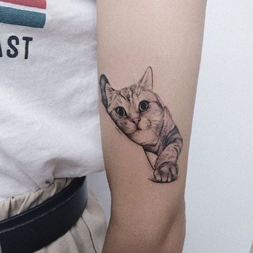 Cat tattoo