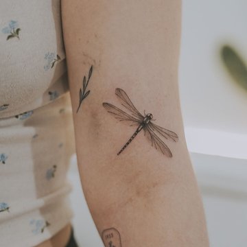Dragonfly tattoo