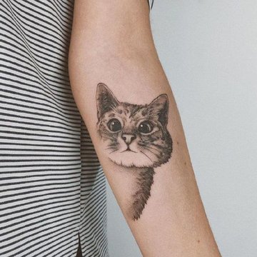 Cat tattoo