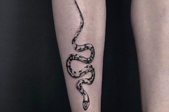 Snake tattoos