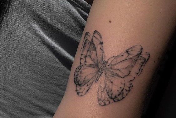 Butterfly Tattoo