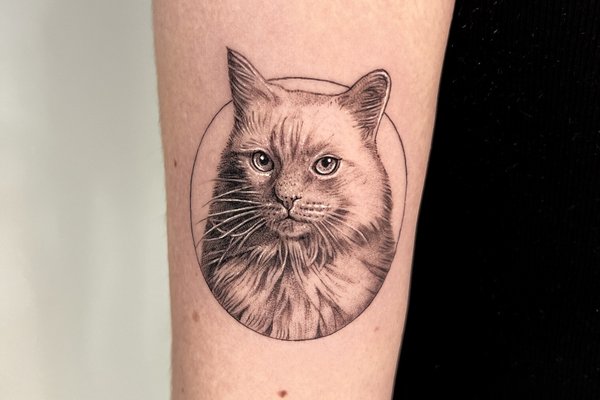 Cat tattoo