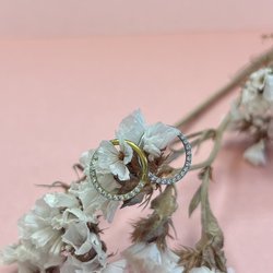 Anodized Piercing Jewelry