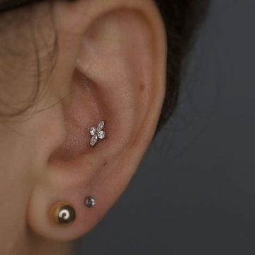 Conch Piercing