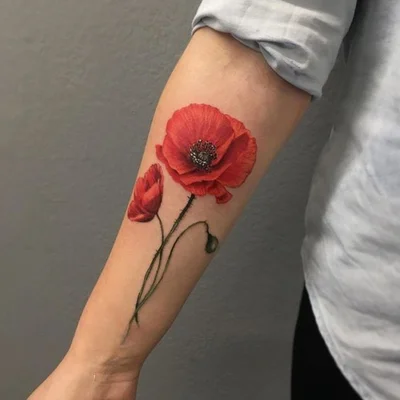 Poppy Tattoo Meaning: Symbolism, History, and Stunning Design Ideas