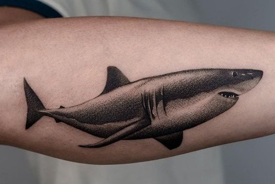 shark tattoos