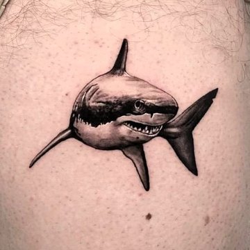 shark tattoos