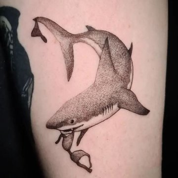 shark tattoos