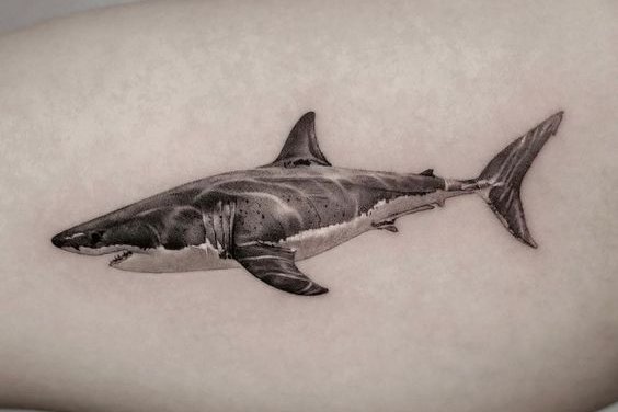 shark tattoos