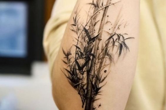 bamboo tattoo