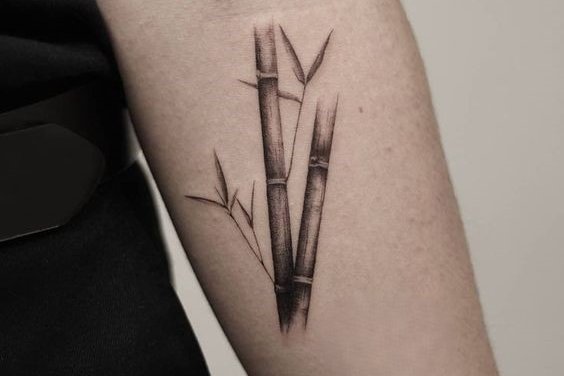 bamboo tattoo