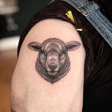 black sheep tattoo