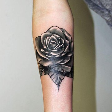 black rose tattoo
