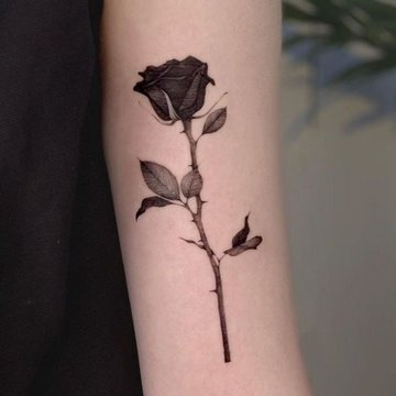 black rose tattoo