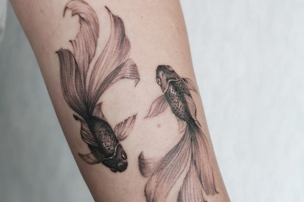Koi Carp Tattoo