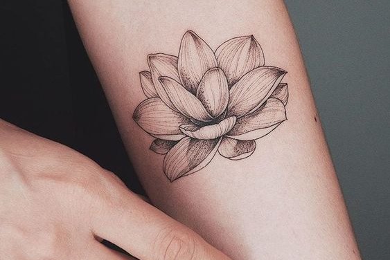 Lotus Tattoo