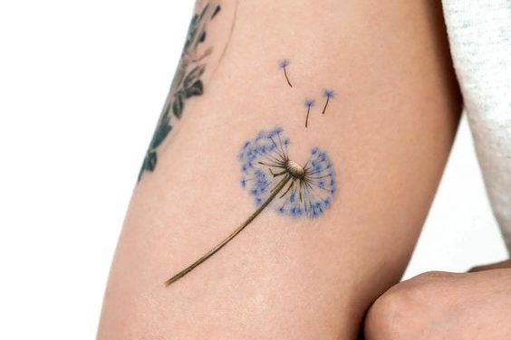 dandelion tattoo