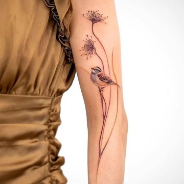 bird tattoo