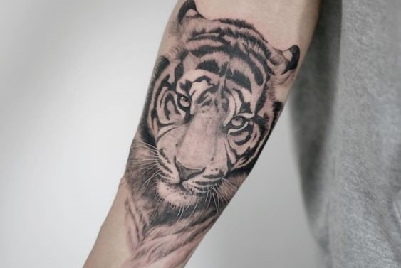 Tiger Tattoo