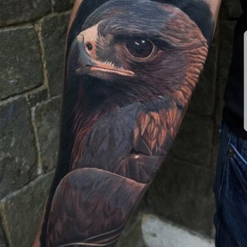 Hawk tattoo