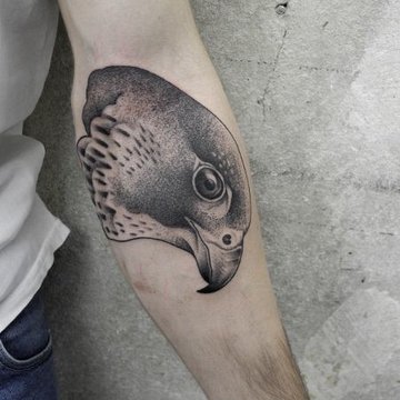 Hawk tattoo