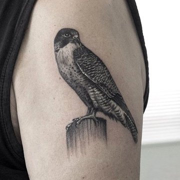 Hawk tattoo