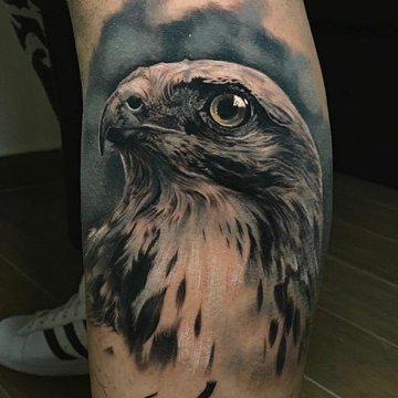 Hawk tattoo