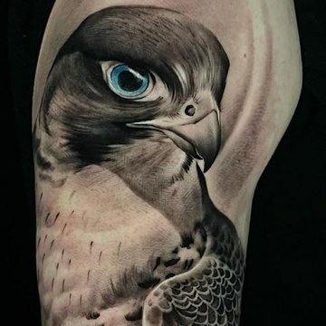 Hawk tattoo