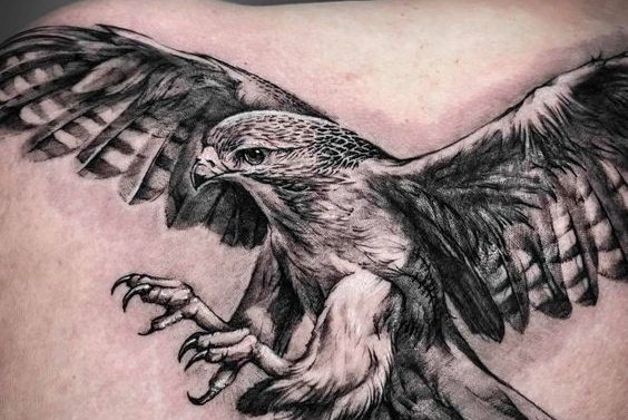 Hawk tattoo