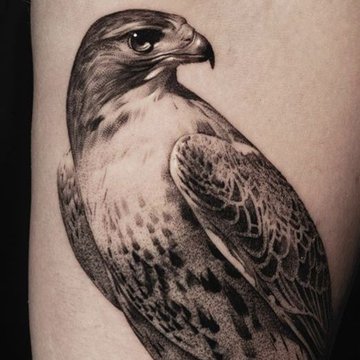 Hawk tattoo