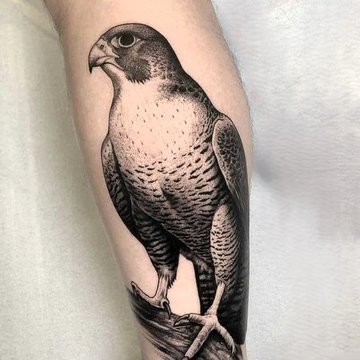 Hawk tattoo