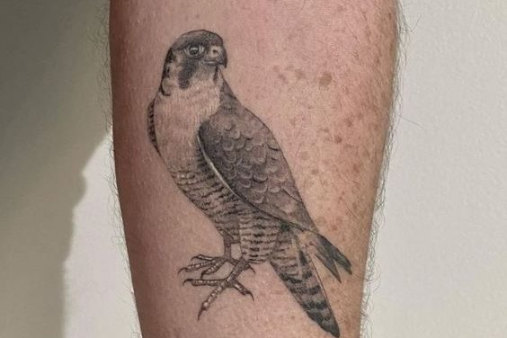 Hawk tattoo