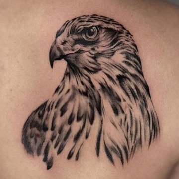 Hawk tattoo